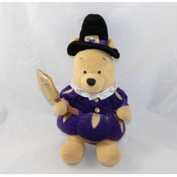 Winnie the Bear Cub DISNEY STORE Guy Fawkes dressed up party July 4