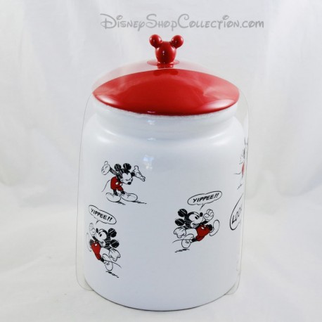 Mickey Mouse Disneyland Paris Cookie Box Tapa Olla