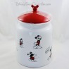 Mickey Mouse Disneyland Paris Cookie Box Lid Pot