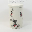 Barattolo di spezie Topolino DISNEYLAND PARIS BD barattolo con coperchio Biscotti in ceramica Disney 17 cm