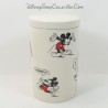 Barattolo di spezie Topolino DISNEYLAND PARIS BD barattolo con coperchio Biscotti in ceramica Disney 17 cm