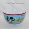 Bowl Mickey DISNEYLAND PARIS Mickey Mouse