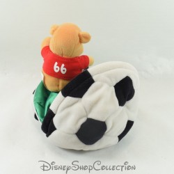 Winnie the Pooh Peluche Reversibile DISNEY STORE 2002 Pallone da Calcio 20 cm