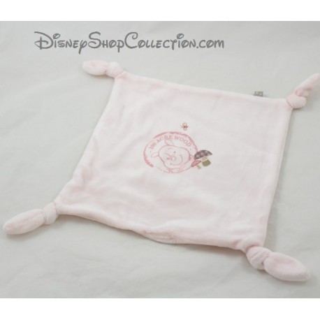 Doudou plat Winnie l'ourson DISNEY CARREFOUR 100 acre wood rose