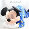 PARCHI DISNEY Amico dei sogni Mickey Peluche