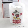 Mickey DISNEY Francal 1928 vegetable scented candle box made in France 9 cm