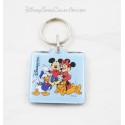 Porta porta Serratura Mickey Minnie DISNEYLAND PARIGI Dingo Donald blu quadrato