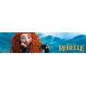 Film Rebelle Disney - Vente occasion