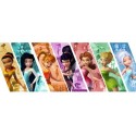 Tinker Bell Disney fairies purchase.
